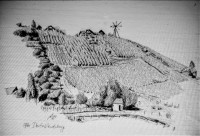 /album/bilder-und-cartoons/steiermark-80er-jahre-41-jpg/